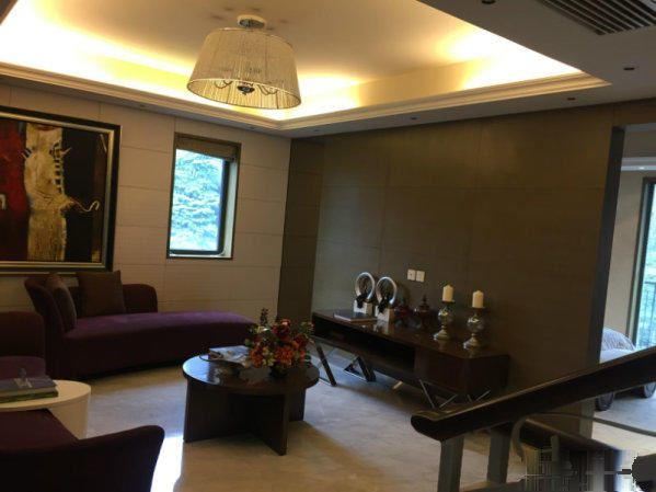 彩叠园联排别墅 端头位置 送转角花园 还剩十余户 清盘特